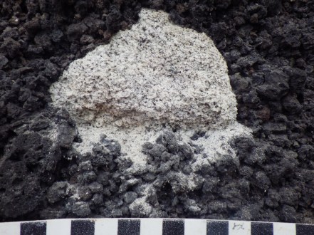 Green Mountain Scoria Katie P