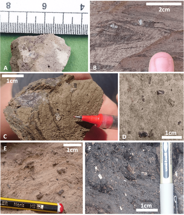photo 2 - EC crystals